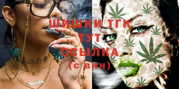 стаф Алексеевка
