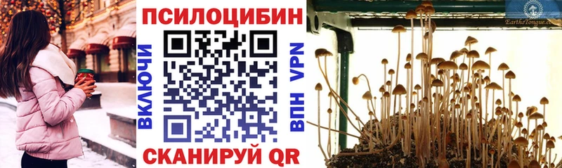 MEGA маркетплейс  Самара  Галлюциногенные грибы мухоморы 