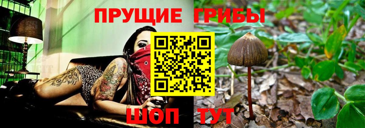 Самара  Галлюциногенные грибы Magic Shrooms  Вход с VPN 